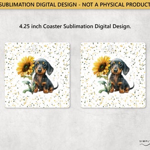 Dackel und eine Sonnenblume, quadratischer 4,25-Zoll-Untersetzer, Sublimationsdesign, digitale PNG-Datei, kommerzielle Nutzung, Small Business SUN180
