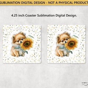 Pomeranian and a Sunflower, Square 4.25 in Coaster, Sublimation Design, PNG Digital File, Commercial Use, Small Business SUN180