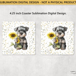 Zwergschnauzer und Sonnenblumen, quadratisch 4,25 Zoll Untersetzer, Sublimationsdesign, digitale PNG-Datei, kommerzielle Nutzung, kleine Unternehmen SUN180