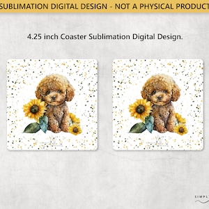 Pudel mit Sonnenblume, Squaare 4,25 in Untersetzer, Sublimationsdesign, digitale PNG-Datei, kommerzielle Nutzung, Small Business, SUN180