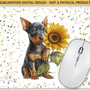 Pinscher und eine Sonnenblume, Mauspad, Sublimationsdesign, digitale PNG-Datei, kommerzielle Nutzung, Small Business SUN180