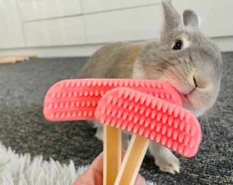 Gentle Silicone Rabbit Brush, Bunny Brush, Bunny Groom, Bunny Comb, Bunny Bath