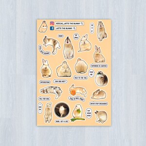 Folha de adesivos de coelhinhos fofos e engraçados