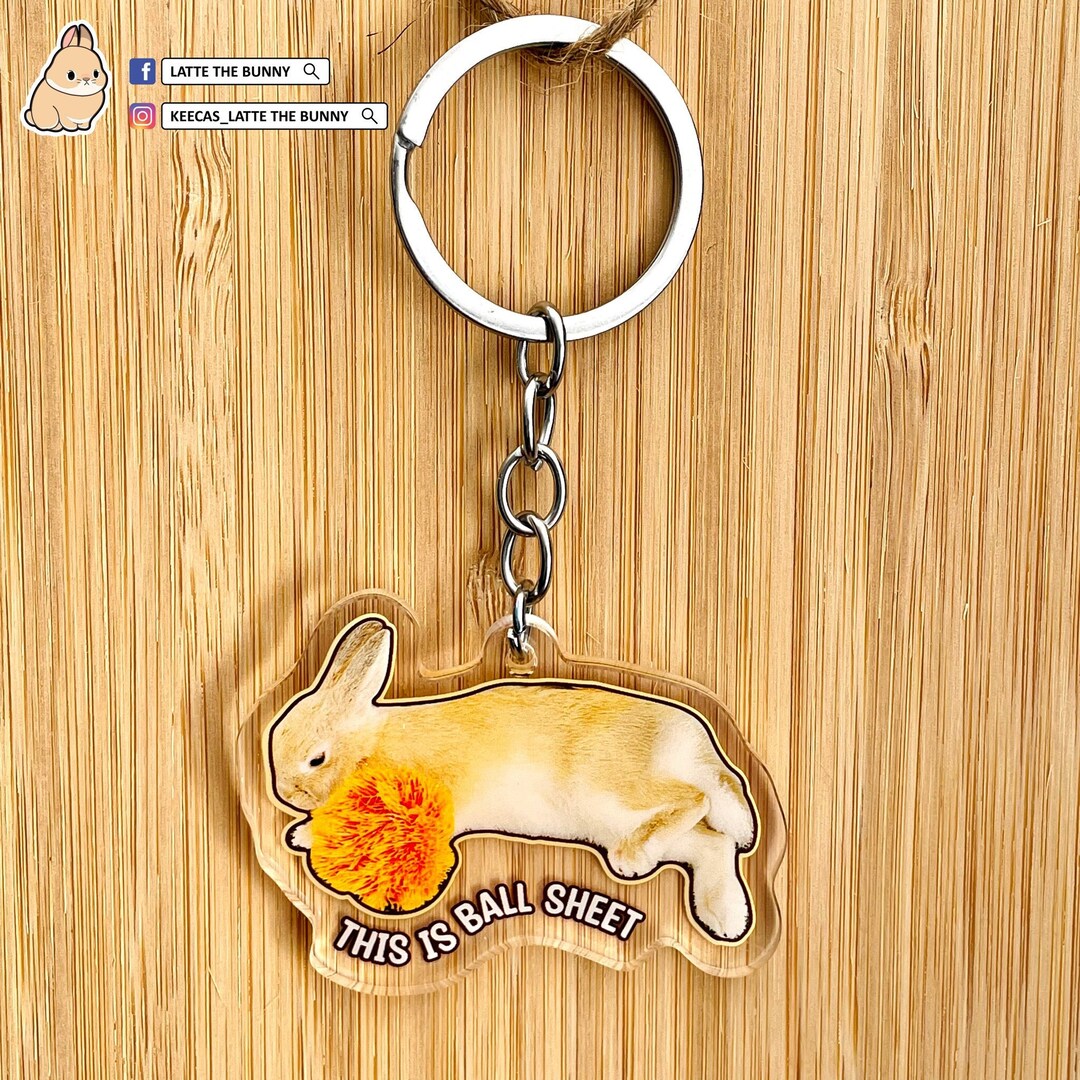 Cute Rabbit Bunny Acrylic Keyring Keychain - Etsy