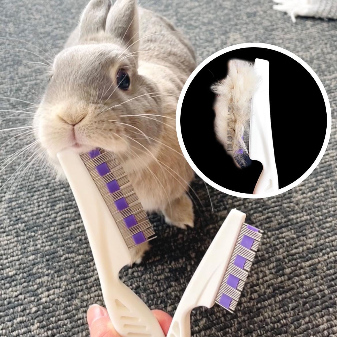 Brush Rabbbit Rabbit Grooming Brush Set: Deep Clean Bunny, Chinchilla, Guinea Pig - Etsy