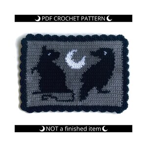 May include: Crochet pattern for a black and white crow and crescent moon design. The pattern is framed with a black border and a scalloped edge.