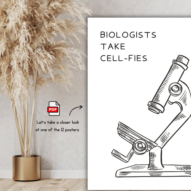 20 Science Prints Perfect for Classrooms, Laboratory, Chemistry ...