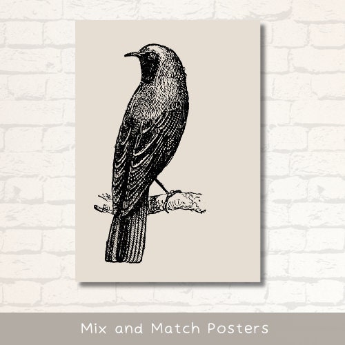 Biology Classroom Wall Art Poster Set of 18 Biology Science Printables ...