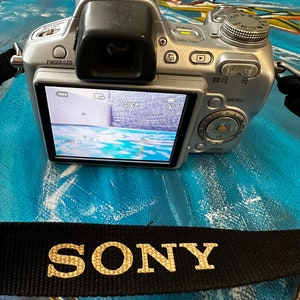 Fotocamera digitale compatta professionale Sony Steady-Shot DSC-H50 9,1 MP Zoom ottico 15x Zoom digitale 30X Schermo mobile da 3 pollici immagine 8