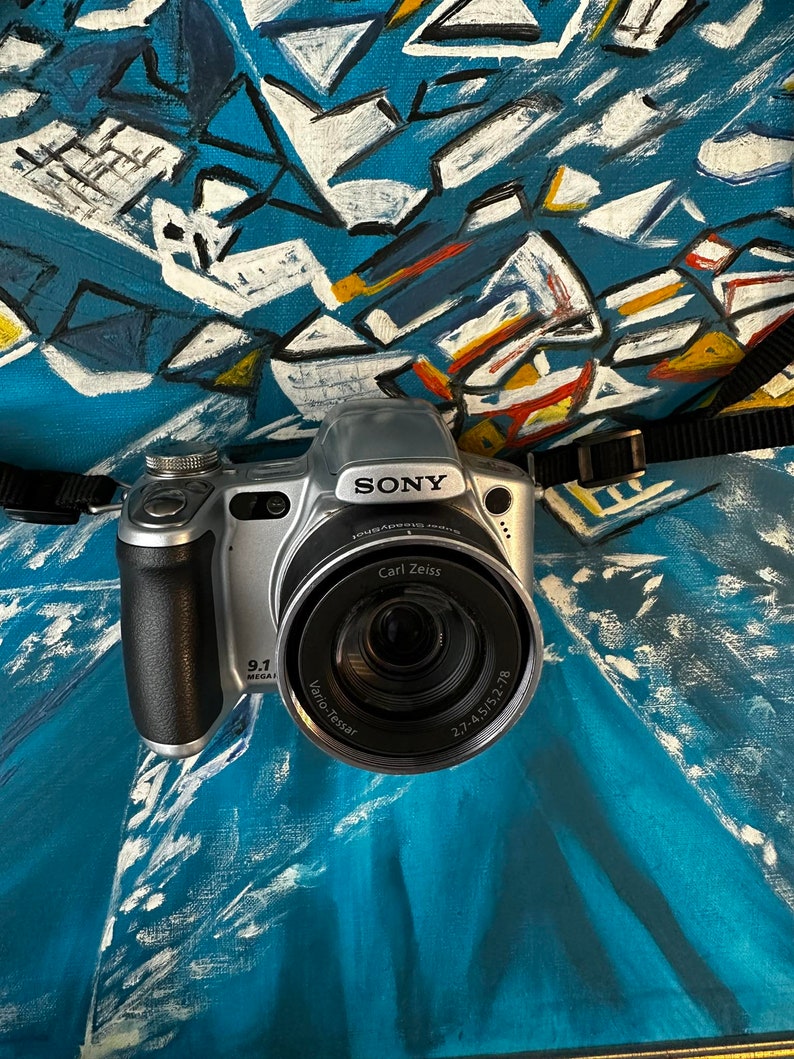 Fotocamera digitale compatta professionale Sony Steady-Shot DSC-H50 9,1 MP Zoom ottico 15x Zoom digitale 30X Schermo mobile da 3 pollici immagine 4