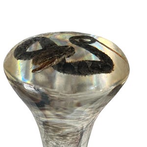 Peut inclure: Un presse-papier en résine transparente en forme de dôme contenant un serpent brun foncé préservé. Le serpent est enroulé avec la tête légèrement relevée et la bouche ouverte, visible à travers le matériau lisse, poli et translucide.
