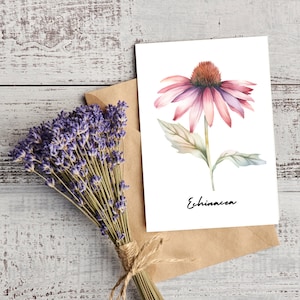 Lot de 6 cartes de voeux imprimables herboriste, cartes imprimables, cartes herboriste, citations de fleurs sauvages, cartes imprimables, cartes fleurs imprimables