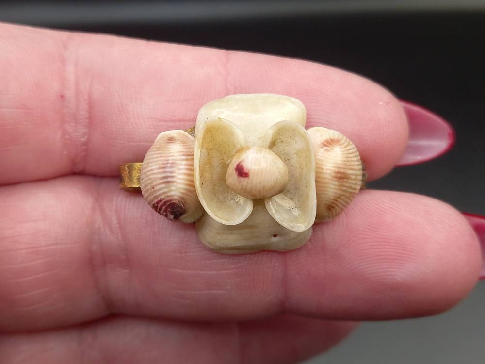Antique 1930s Make Do Petite Shell Brooch Pink - Etsy