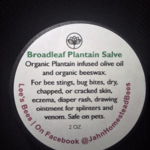 Broadleaf Plantain Salve | Herbal Balm for Bug Bites, Bee Stings & Skin Irritation | 2 oz