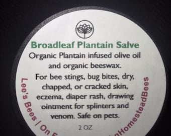 Plantain Bug Bite Salve | Natural Itch Relief, Herbal First Aid