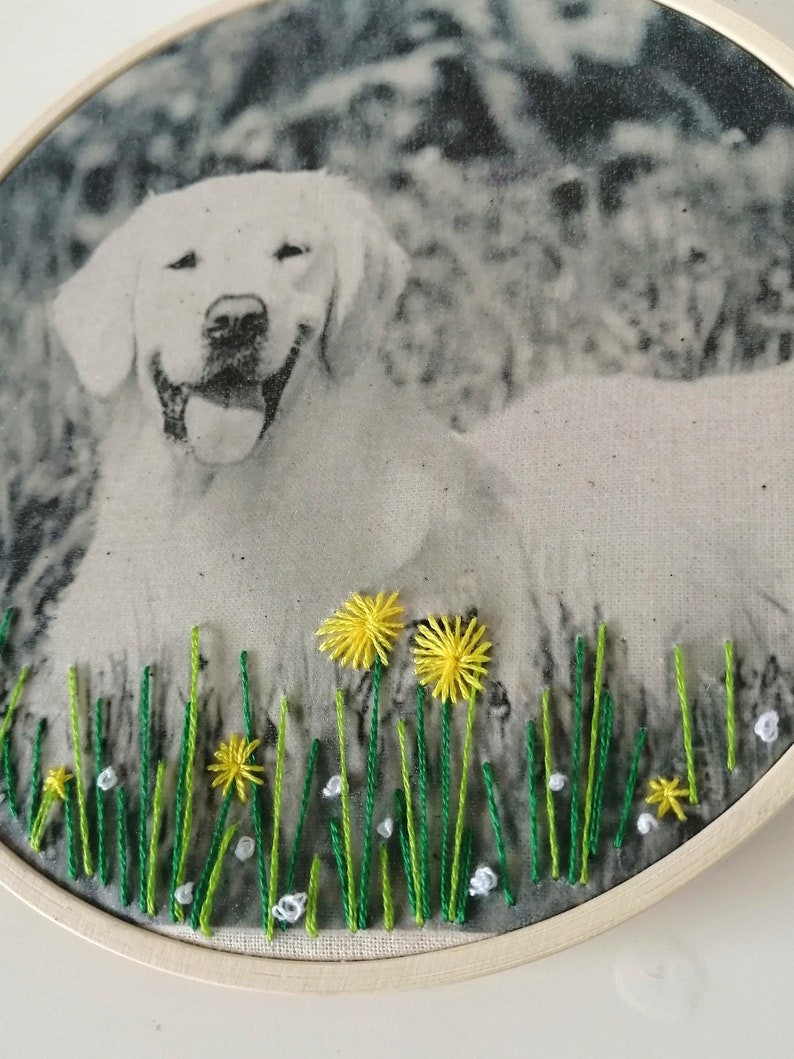 May include: Embroidered hoop art featuring a black and white photo of a dog with green grass and yellow flowers stitched around the image.