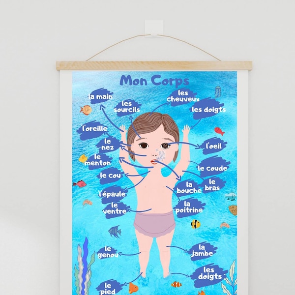 poster of body parts in french / affiche des parties du corps pour les enfants