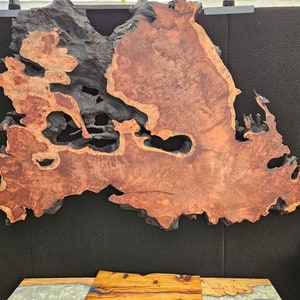 Old growth redwood burl wall art