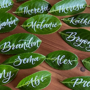 May include: A collection of green leaves with white calligraphy names written on them. The names include Alan, Precilla, Geen, Ball, Theresa, Melanie, Kathlee, Brandon, Bryony, Sema, Alex, Ma, Tony, Abi, Pri, ncy, Jake, Eva, ss, and Ollo.