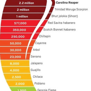 Könnte beinhalten: Eine Scoville-Schärfe-Skala, die die Schärfeeinheiten verschiedener Paprika von süßen Paprika bis hin zum Carolina Reaper zeigt. Die Skala ist in Form einer grünen Paprika gestaltet und verfügt über einen Farbverlauf von Rot, Orange, Gelb und Grün.