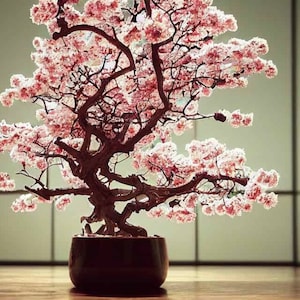 Puede incluir: Un árbol bonsái con flores rosas en una maceta negra. El árbol está en una habitación con un fondo claro.