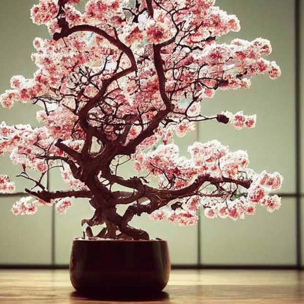 Graines de bonsaï fleurs de cerisier du Japon, couleurs étonnantes, amusantes et faciles à cultiver, sakura japonais rose, les enfants adorent, cadeau pour la maison