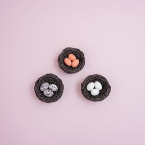 May include: Three small nests, each containing different types of eggs. One nest has three speckled brown eggs, another has three white eggs, and the last has three light orange eggs.