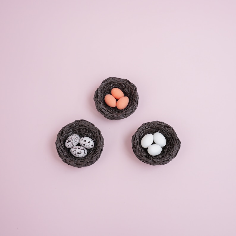 May include: Three small nests, each containing different types of eggs. One nest has three speckled brown eggs, another has three white eggs, and the last has three light orange eggs.