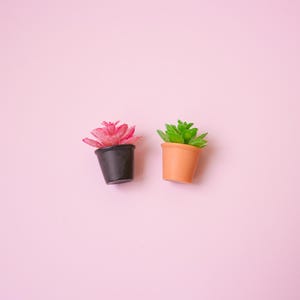 Succulent Plant Magnet | Planter Fridge Magnet | Cactus Refrigerator Magnets | Garden Themed Kitchen Decor | Plant Lover's Gift for Home