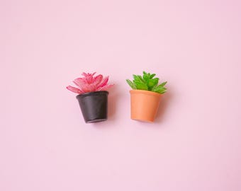 Succulent Plant Magnet | Planter Fridge Magnet | Cactus Refrigerator Magnets | Garden Themed Kitchen Decor | Plant Lover's Gift for Home