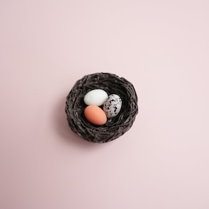 May include: A brown woven nest with three eggs inside. One egg is white, one is brown, and one is speckled.