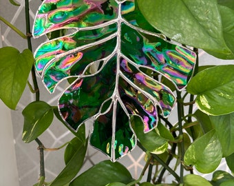 Green iridescent mini Stained Glass monstera leaf