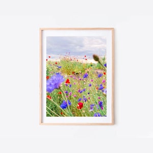 Wildflower, Floral Scene, Floral Print, Wildflower Print, Summer Decor, Summer Print, Quebec Wildflowers, Garden of Wildflowers