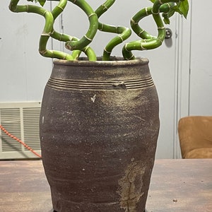 May include: A dark brown ceramic vase with a textured surface and a light brown rim. The vase is filled with a green leafy plant with long, twisted stems.