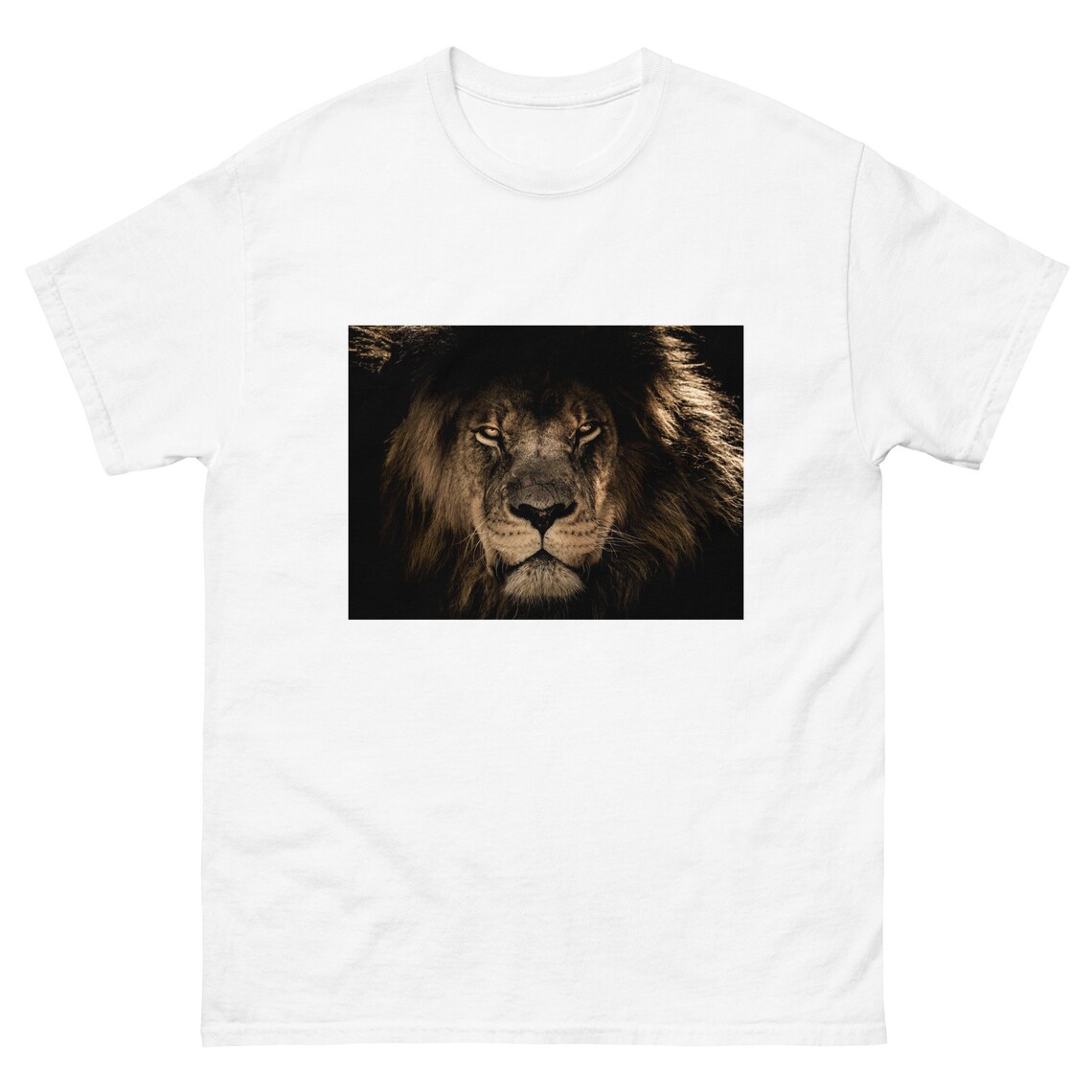 African Lion Instant Download PNG JPG PDF Tiff Digital - Etsy