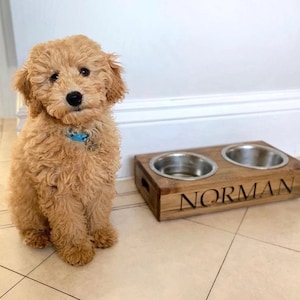 Personalised Pine Dog bowl Standard Feeder | Engraved Dog Feeding Station | Handmade Pet Feeding Station | Bespoke Water Bowl Walnut Stain