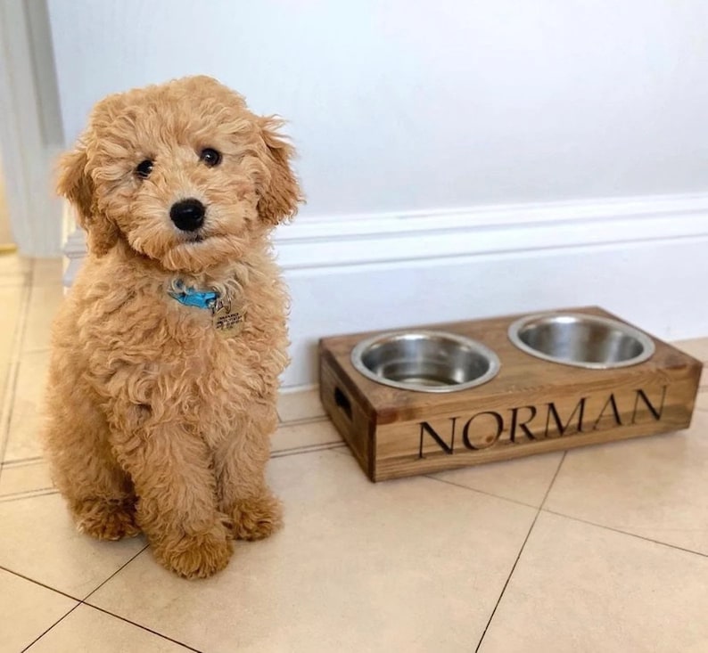Personalised Pine Dog bowl Standard Feeder | Engraved Dog Feeding Station | Handmade Pet Feeding Station | Bespoke Water Bowl Walnut Stain