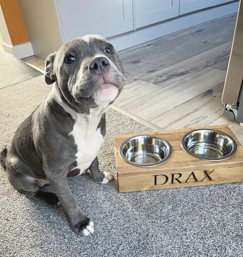 Personalised Pine Dog bowl Standard Feeder | Engraved Dog Feeding Station | Handmade Pet Feeding Station | Bespoke Water Bowl Oak Stain
