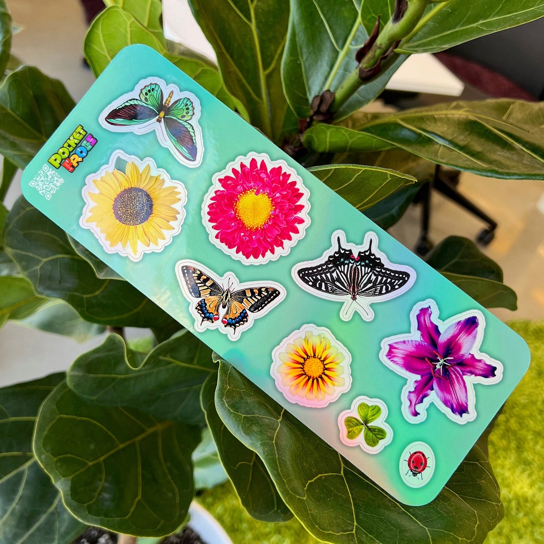 Pocket Frogs Butterflies & Flowers Holographic Sticker Sheet Etsy