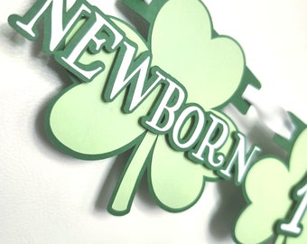 Lucky One Milestone Birthday Banner Monthly Milestone St Patrick's Birthday Party Decor First Birthday Month Banner