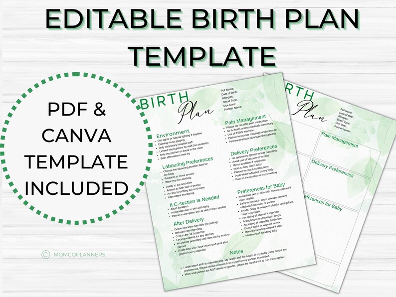 Editable Birth Plan Template Printable Birthing Plan - Etsy