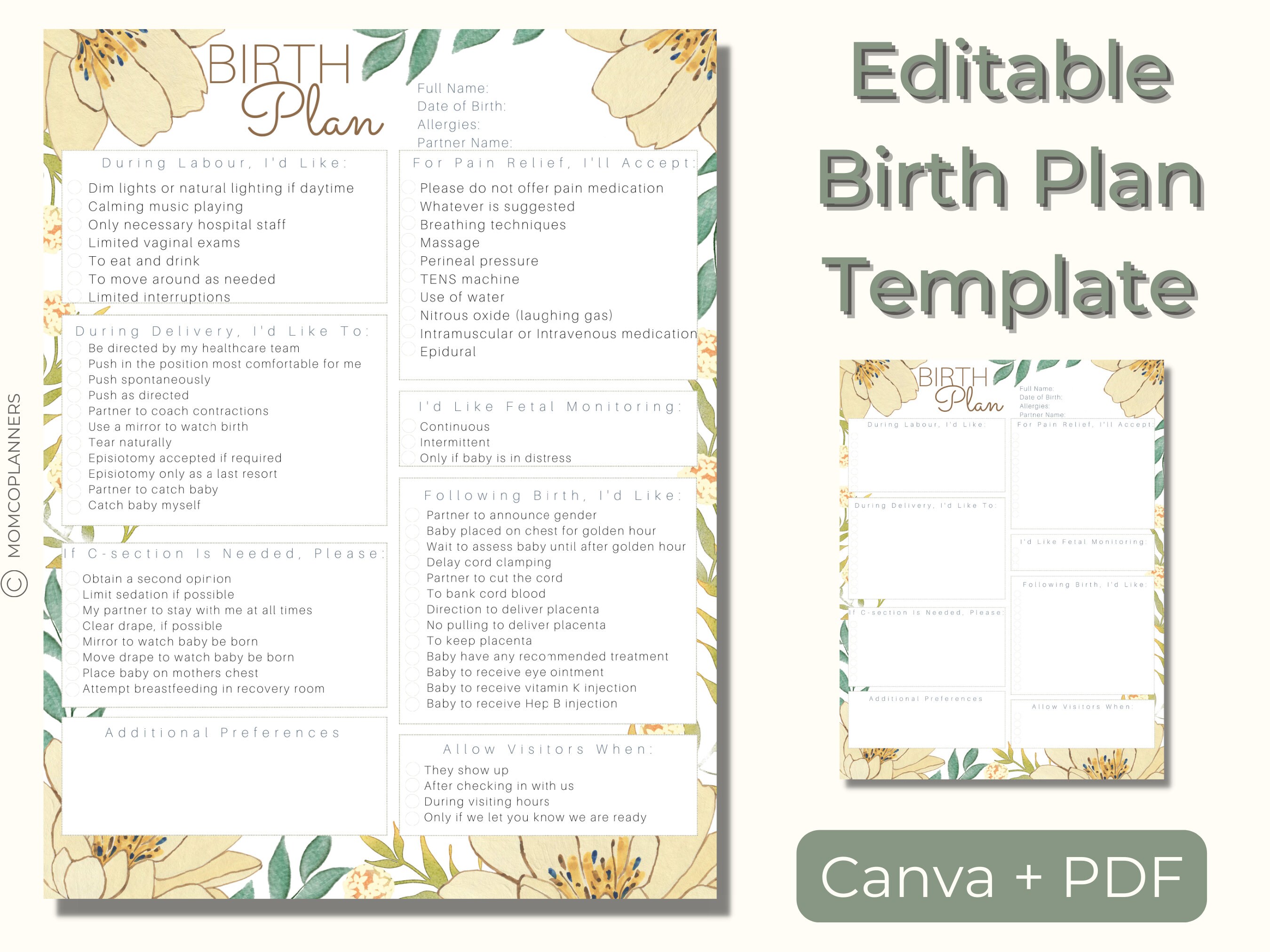 Editable Birth Plan Template Printable Birthing Plan - Etsy Sweden
