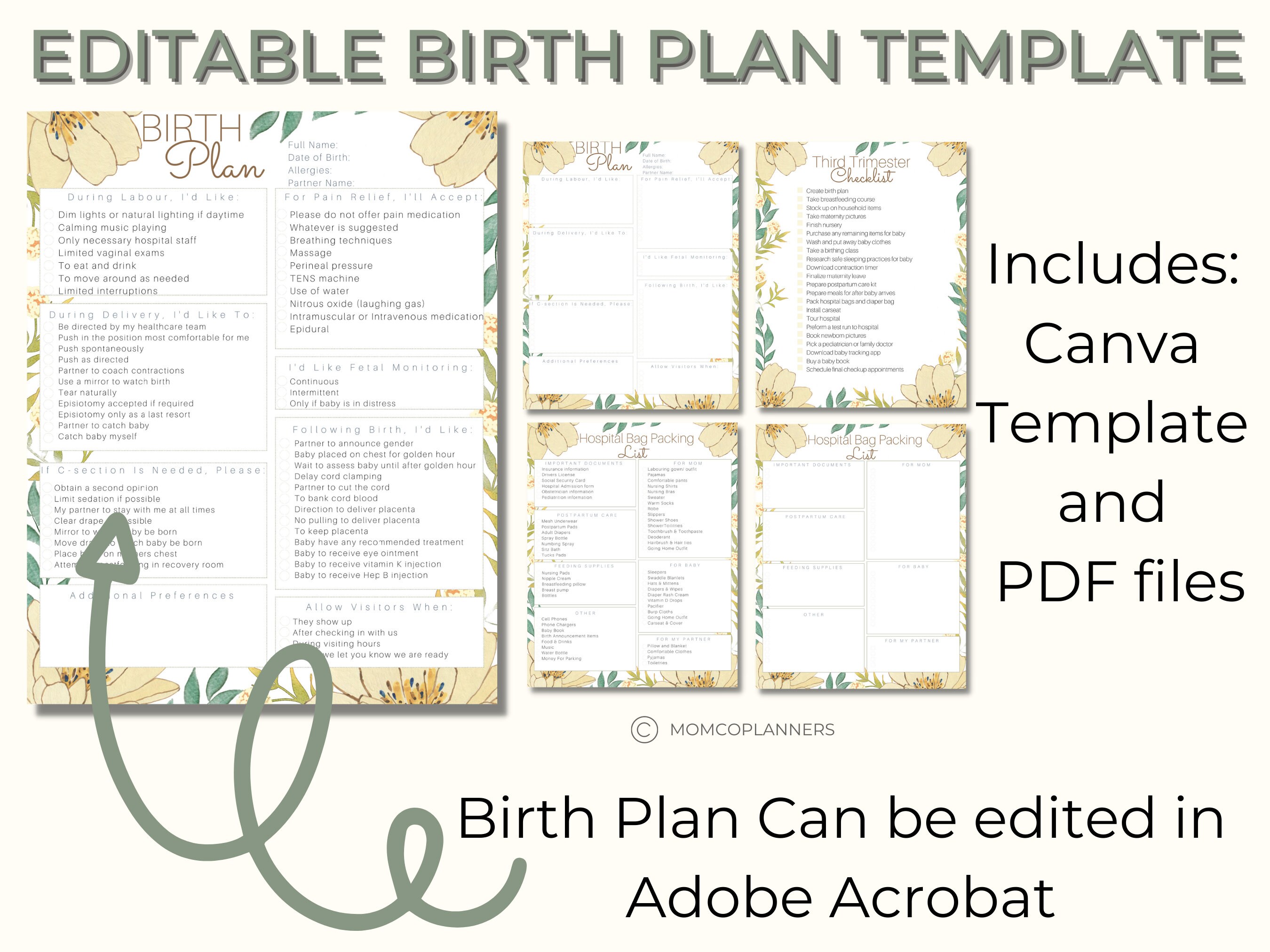 Editable Birth Plan Template Printable Birthing Plan - Etsy