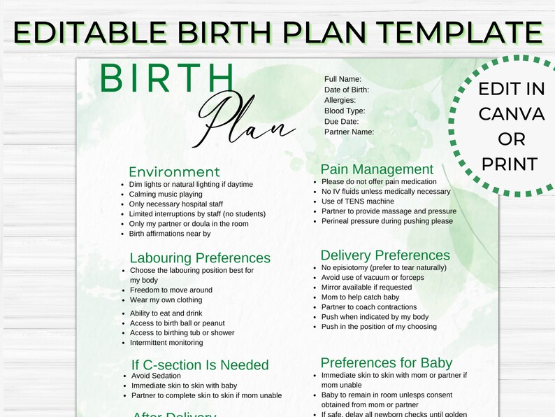 Editable Birth Plan Template Printable Birthing Plan Etsy Canada