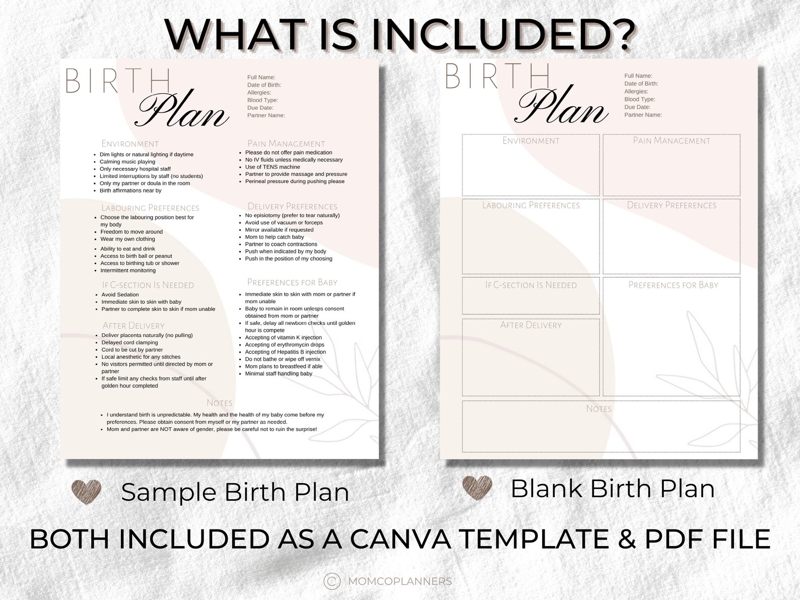 Editable Birth Plan Template Printable Birthing Plan Etsy