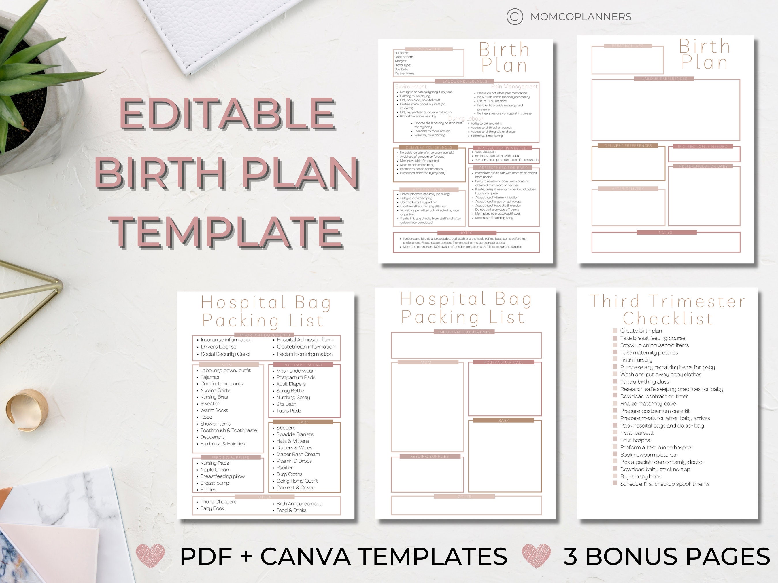 Birth Plan Canva Template Editable Birthing Plan Labour - Etsy