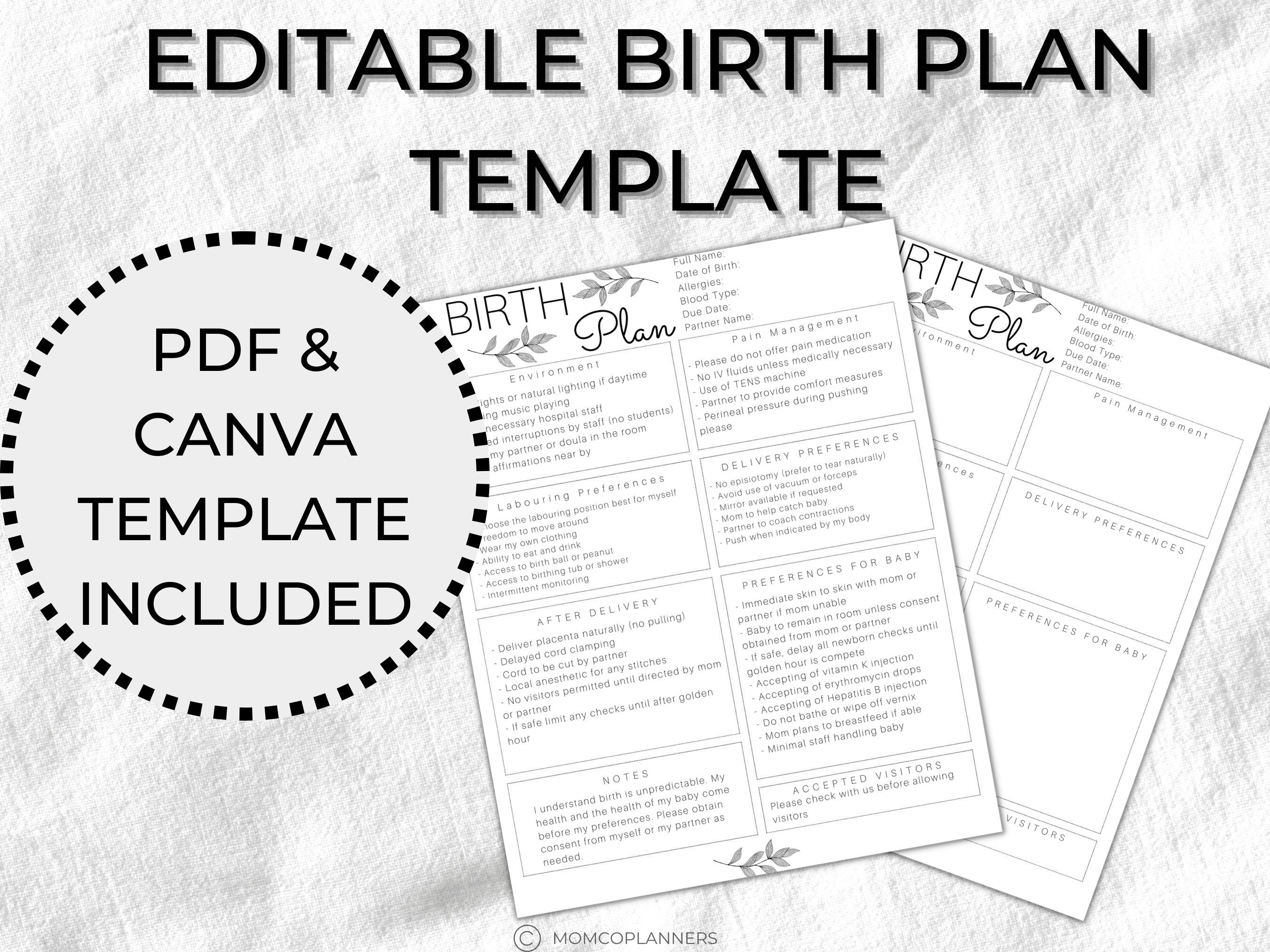 Editable Birth Plan Template Simple Printable Birthing Plan Etsy Canada