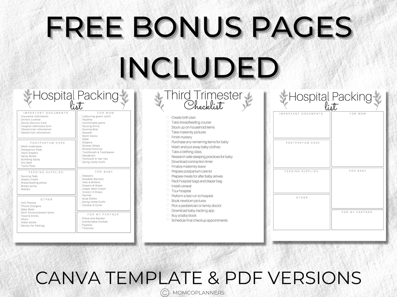Editable Birth Plan Template Simple Printable Birthing Plan Etsy