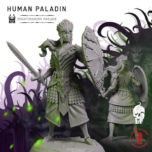 Human Paladin | Fantasy Tabletop Miniature - 28MM - 100MM | Dungeons and Dragons DND