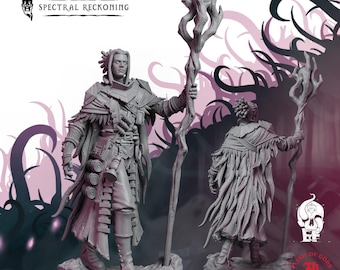Dusk Domain Druid | Humanoid Miniature | High-Detail Resin Mini | DnD Tabletop RPG